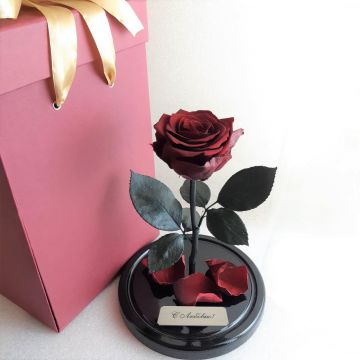 Розы М с коробкой и гравировкой,       10 оттенков